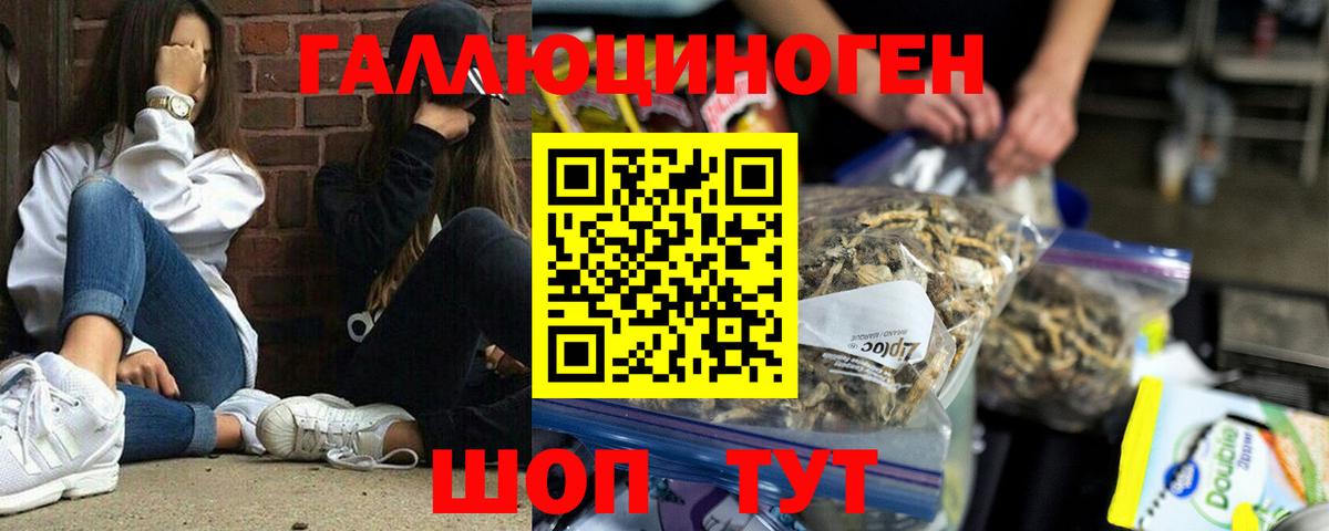 Псилоцибиновые грибы мицелий Новокуйбышевск