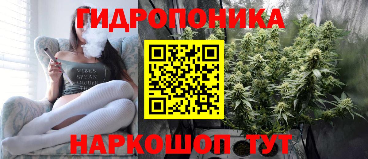Конопля индика  Вход с VPN  Бошки марихуана планчик  Новокуйбышевск  Марихуана семена 